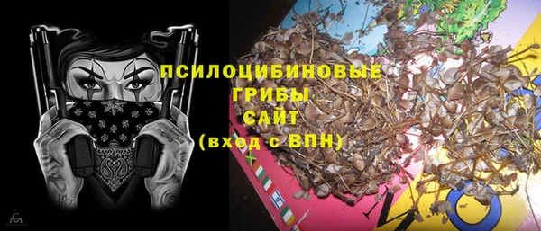 шишки Алексеевка