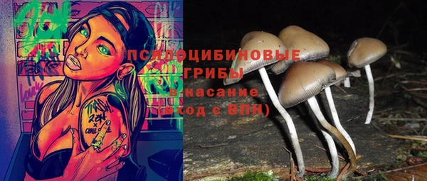 шишки Алексеевка