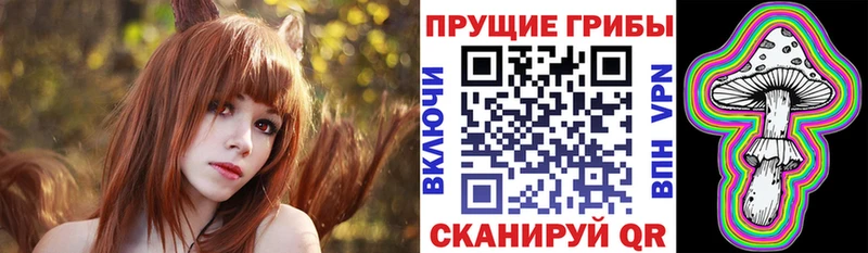 Псилоцибиновые грибы MAGIC MUSHROOMS  Купить  Бодайбо 