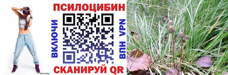 Галлюциногенные грибы ЛСД Бодайбо