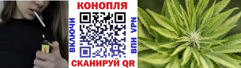 Купить закладки  Бодайбо  Бошки марихуана тримм 